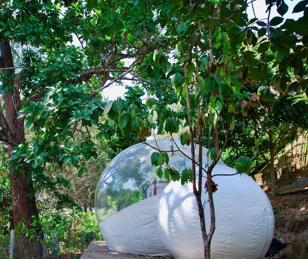 Sweet Harmony Hotel Boutique By Xarm Hotels มินกา ภายนอก รูปภาพ